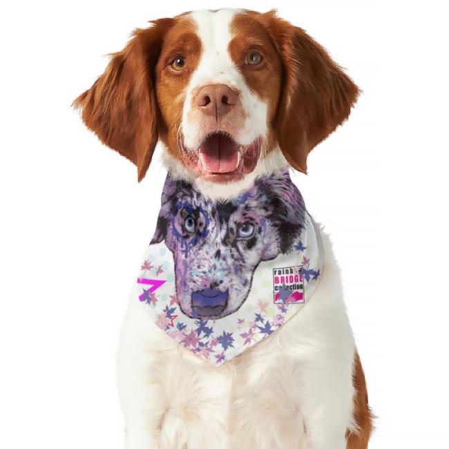 Hunde-Bandana Aussie - Popart Hundedesign, 100 % Polyester, 70x30 cm, verstellbar, waschbar